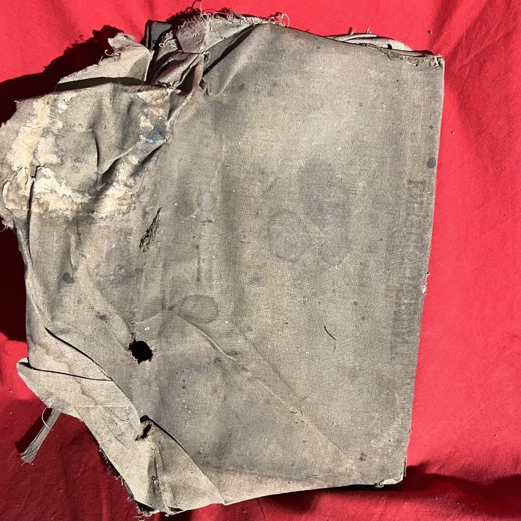IMG_6579.webp